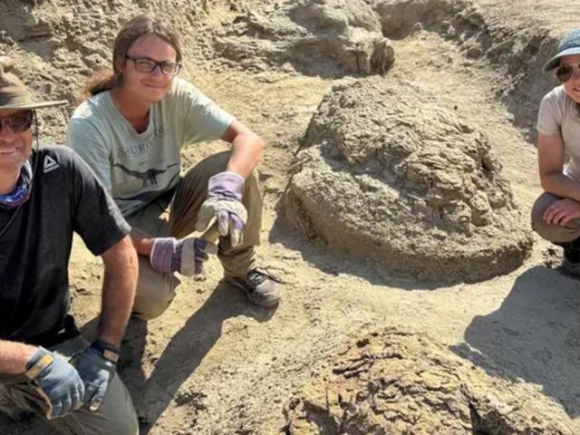 66,5 milyon yıllık ayak izi: Tam 7 metre