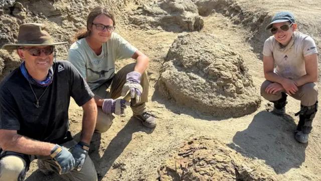 66,5 milyon yıllık ayak izi: Tam 7 metre