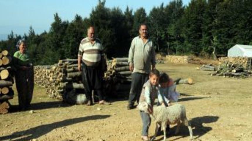 Ormanla b&uuml;t&uuml;nleşen hayatlar 'Tahtacılar'