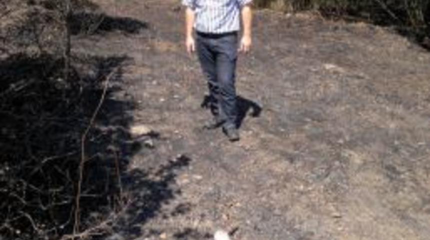 Yangından yaralı kurtulan leylek tedavi altına alındı