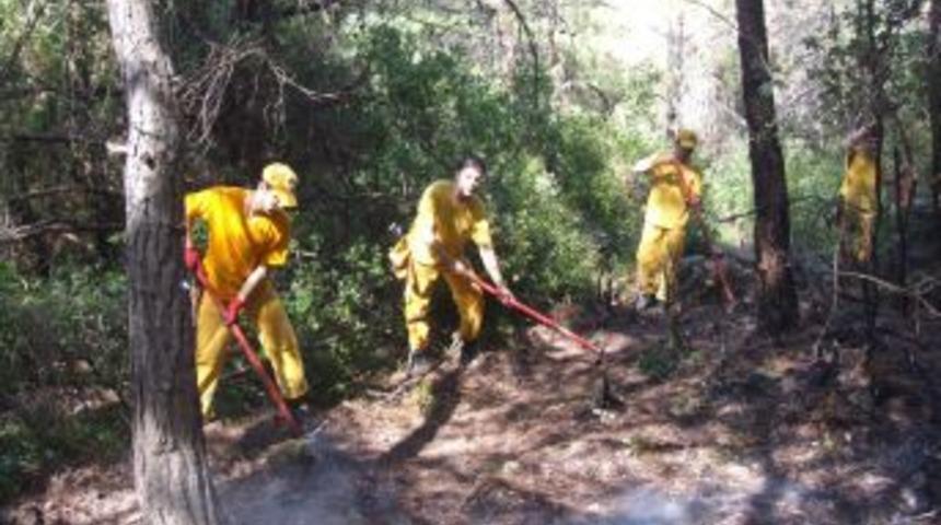 Kuşadası G&uuml;zel&ccedil;amlı'da orman yangınında 3 d&ouml;n&uuml;ml&uuml;k kızıl&ccedil;amlık zarar g&ouml;rd&uuml;