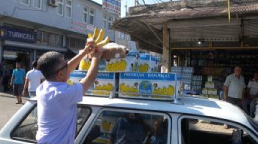 Antakya&rsquo;da 1 ton ka&ccedil;ak muz ele ge&ccedil;irildi