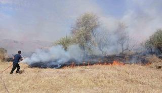 Saraykent&rsquo;te 150 d&ouml;n&uuml;m arazi yandı