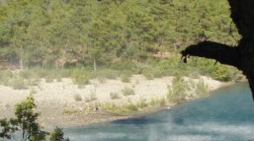 Manavgat'taki orman yangınında 25 hektarlık alan zarar g&ouml;rd&uuml;