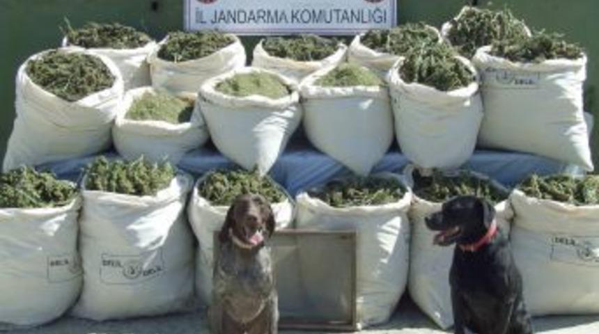 Diyarbakır&rsquo;da 485 kilo esrar ele ge&ccedil;irildi