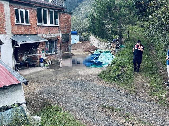 Ordu'da kardeşler arasındaki arazi kavgası kanlı bitti
