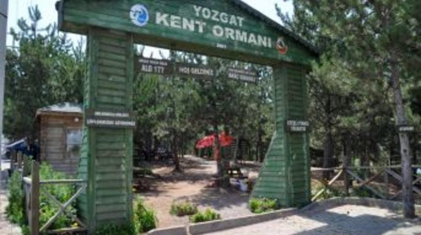 Yozgat&rsquo;ta piknik yapan vatandaşlar yasağa tepkili