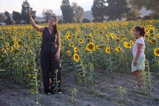 Doğal fotoğraf st&uuml;dyosu halini alan ay&ccedil;i&ccedil;ek tarlası vatandaşların ilgi odağı oldu 2