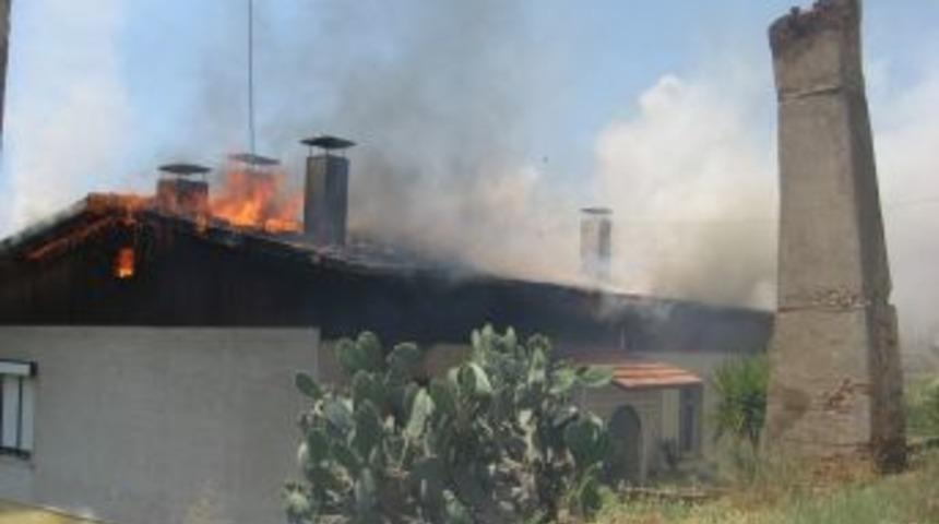 Aydın'da korkutan yangın