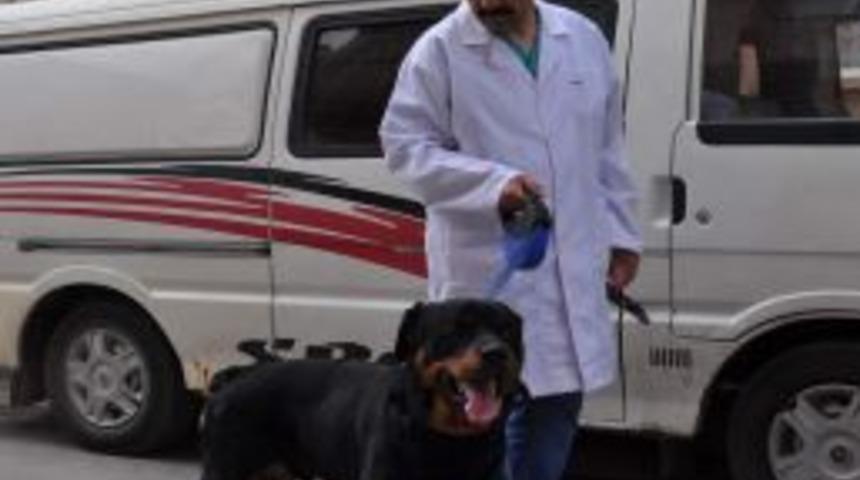 Kazada ayağını kaybeden Oscar&rsquo;a protez bacak