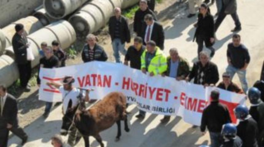 Bir kez değil, Bin kez yazıklar olsun