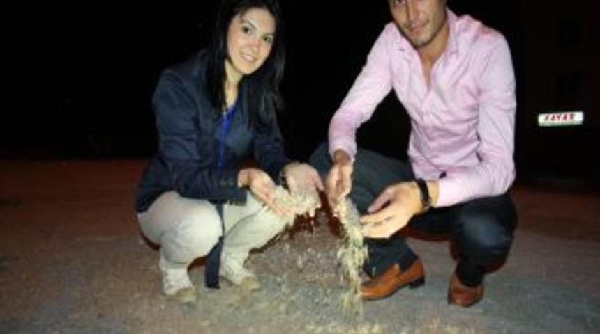 'Birg&uuml;n' sineklerinin '&ouml;l&uuml;m dansı' izleyenleri b&uuml;y&uuml;ledi