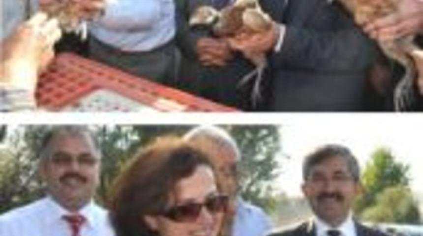 Doğaya s&uuml;l&uuml;n bırakıldı