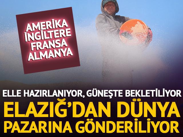 Tuzlanıyor, g&uuml;neşte 6 g&uuml;n bekletiliyor! D&uuml;nya pazarına gidiyor