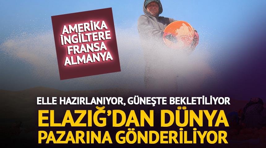 Tuzlanıyor, g&uuml;neşte 6 g&uuml;n bekletiliyor! D&uuml;nya pazarına gidiyor