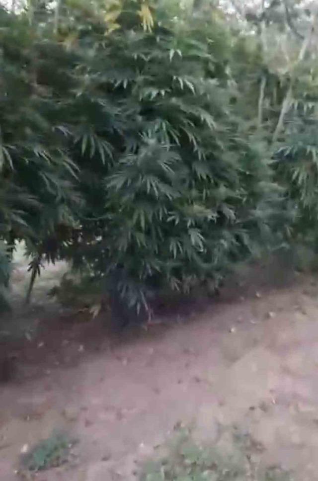 Samsun&rsquo;da peş peşe uyuşturucu operasyonları: 1 kilo 225 gram metamfetamin ele ge&ccedil;irildi 7