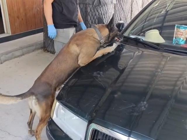 Samsun&rsquo;da peş peşe uyuşturucu operasyonları: 1 kilo 225 gram metamfetamin ele ge&ccedil;irildi