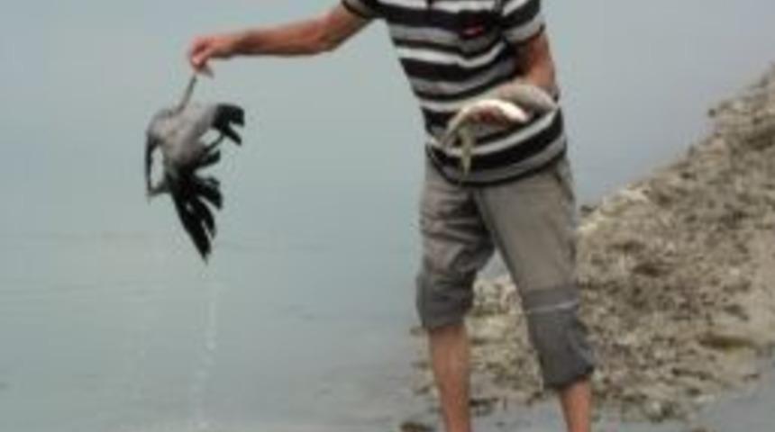 Halkın suyunu kullandığı Melet Irmağı'nda kirlilikten balıklar &ouml;l&uuml;yor