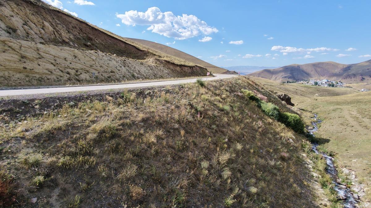 Erzurum da gizemli yol! Arabalar kendi kendine yokuş çıkıyor 2