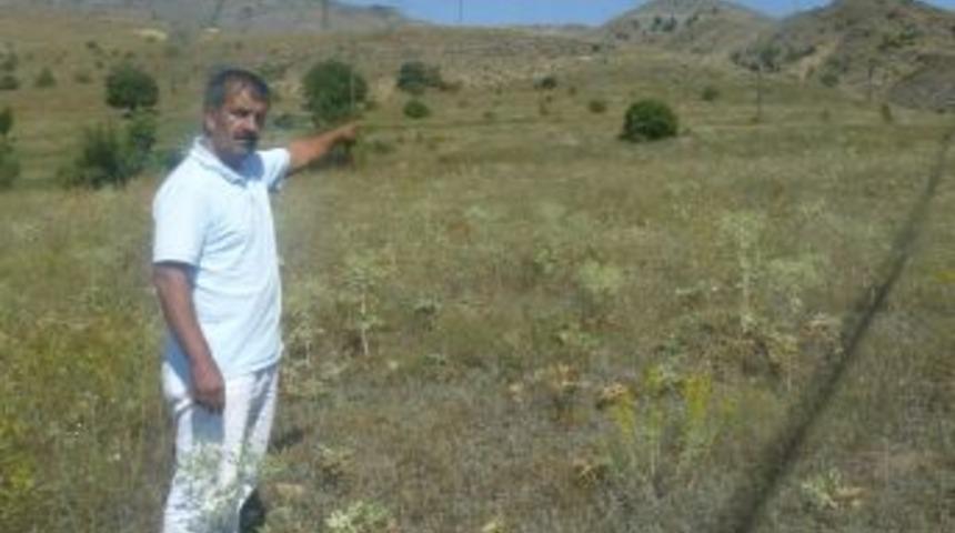 Tekke beldesi üniversitesini bekliyor