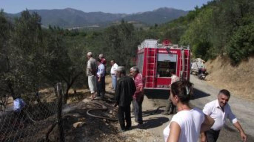 Kıyı yangını korkuttu