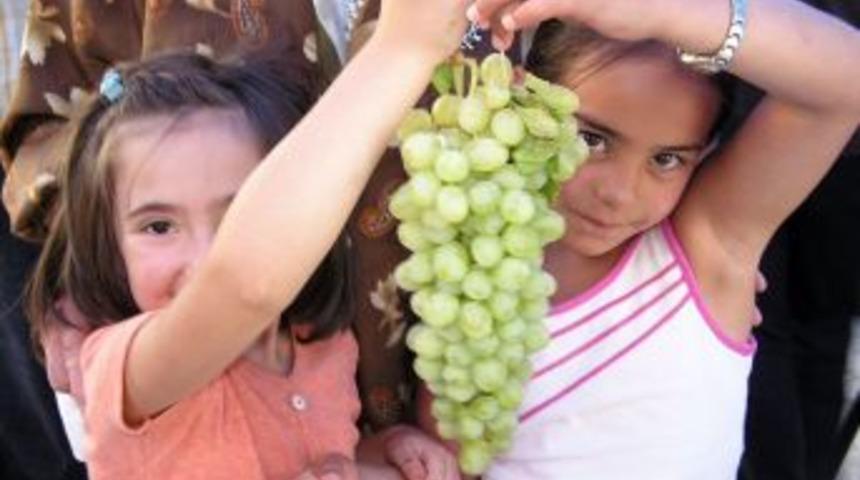 Bilin&ccedil;li tarım, Kızılırmak Havzası'nda &uuml;retimi artırdı