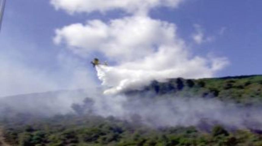 Maltepe&rsquo;de orman yangını