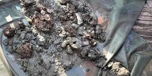 Denizin dibinde hazine gibi keşif: Ton başına 15,4 gram altın
