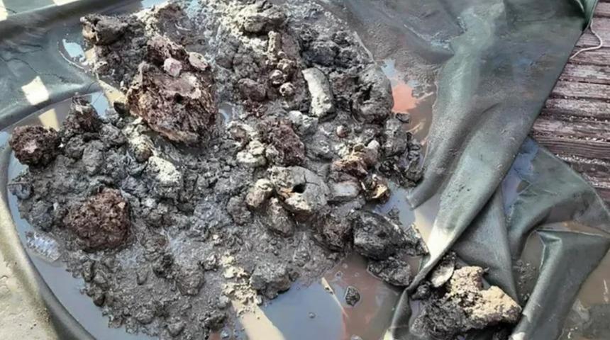 Denizin dibinde hazine gibi keşif: Ton başına 15,4 gram altın