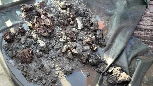 Denizin dibinde hazine gibi keşif: Ton başına 15,4 gram altın