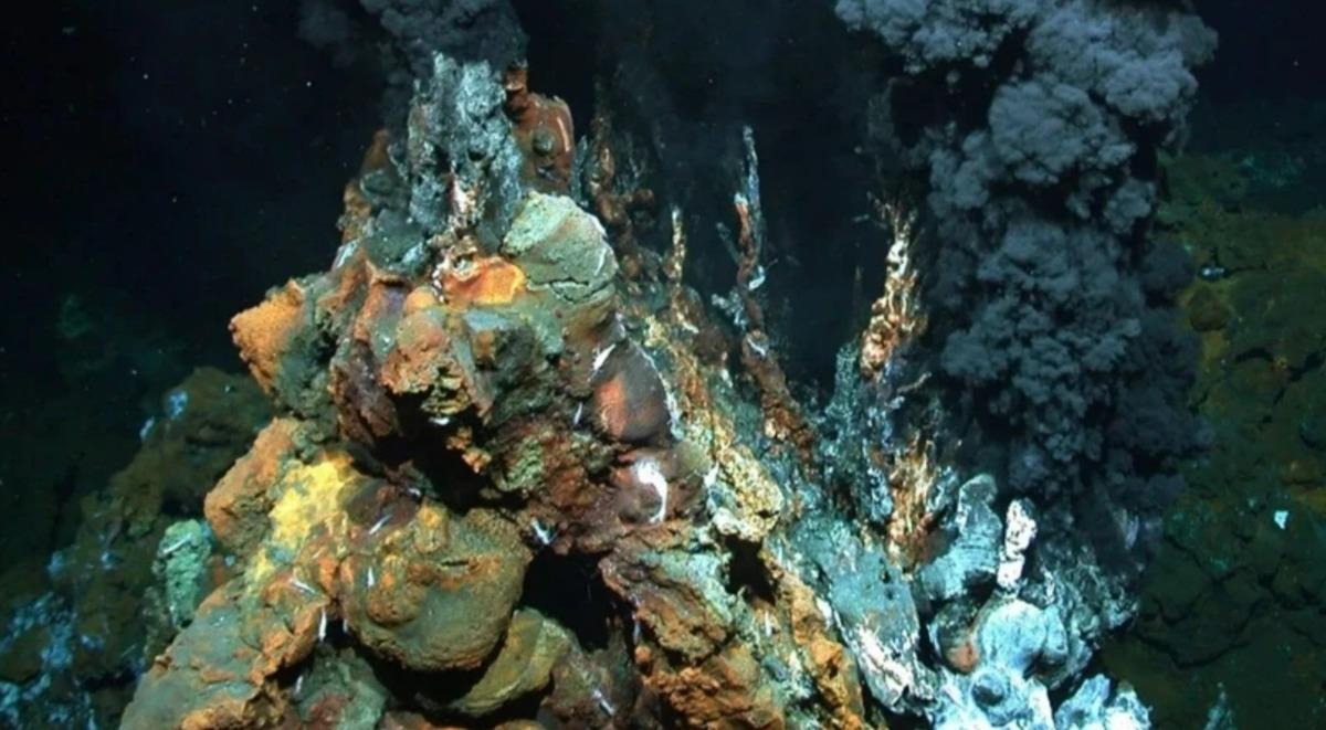 Denizin dibinde hazine gibi keşif: Ton başına 15,4 gram altın 2