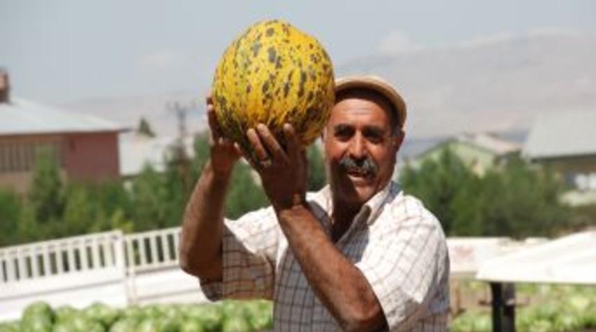 Muş&rsquo;ta karpuz &uuml;reticisi pazar sıkıntısı yaşıyor