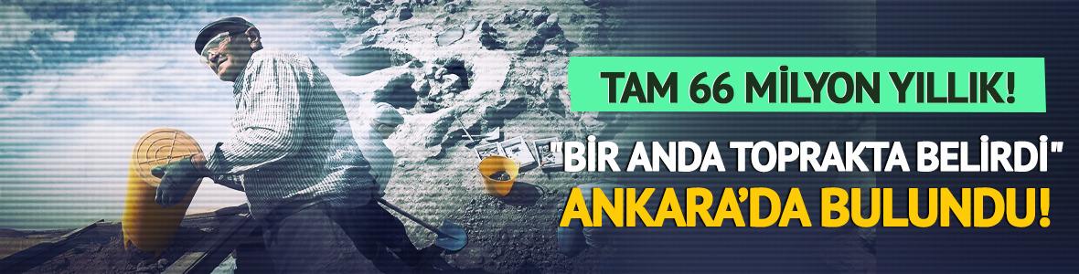 Tam 66 milyon yıllık: Ankara'da ilgin&ccedil; keşif!