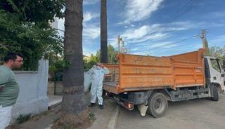 Marmaris'teki &ccedil;&ouml;p evden bir kamyon &ccedil;&ouml;p ve 30'a yakın kedi &ccedil;ıktı