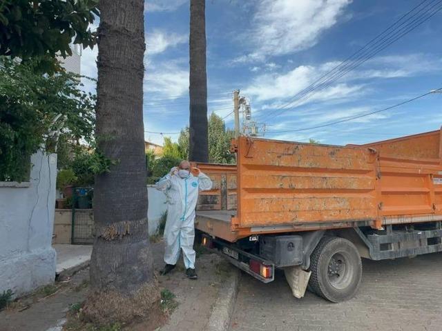 Marmaris'teki &ccedil;&ouml;p evden bir kamyon &ccedil;&ouml;p ve 30'a yakın kedi &ccedil;ıktı