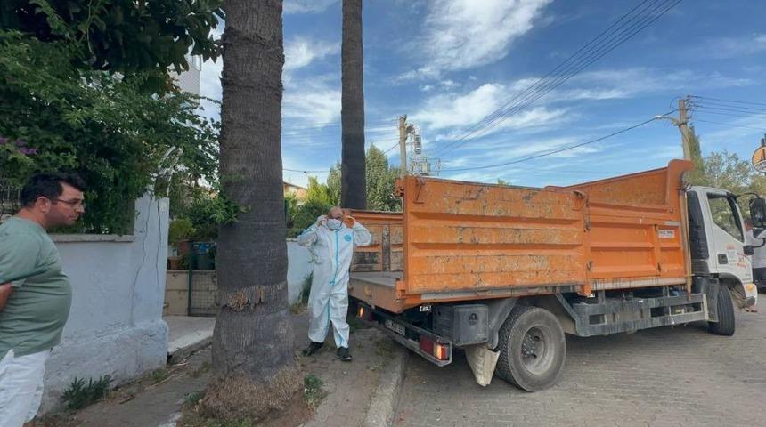 Marmaris'teki &ccedil;&ouml;p evden bir kamyon &ccedil;&ouml;p ve 30'a yakın kedi &ccedil;ıktı