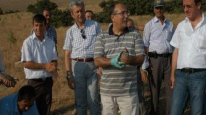 Nevşehir'de keklikler korumaya alındı, 5 yıl keklik avı yasak