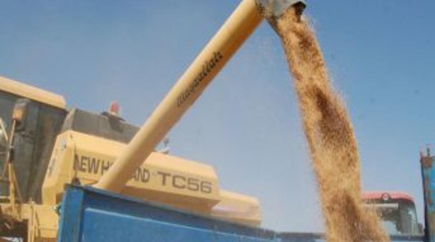 Kıra&ccedil; alanlara 'Bayraktar 2000' ekin tavsiyesi