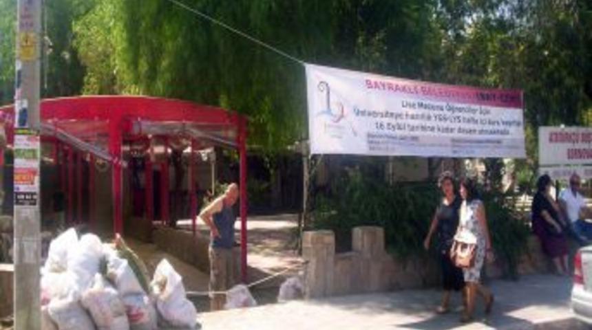 Kantin i&ccedil;in &ccedil;ınarı kestiler