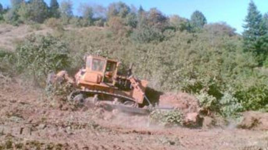 A&ccedil;ma yapılan alanlar, bal ormanına d&ouml;n&uuml;şt&uuml;r&uuml;lecek