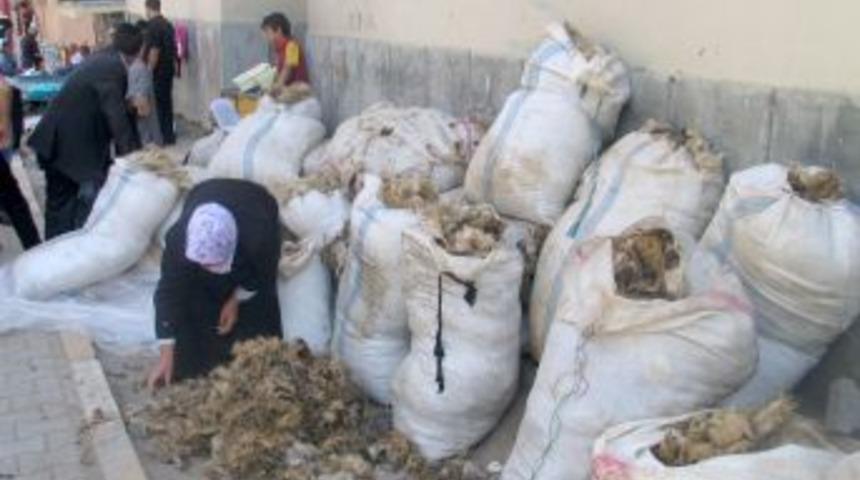 Muş'ta g&ouml;&ccedil;erlerin y&uuml;n satışları başladı