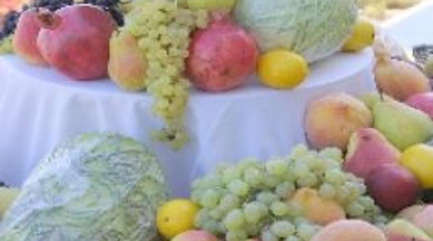 Hormonlu sebzeye helal sertifikası yok