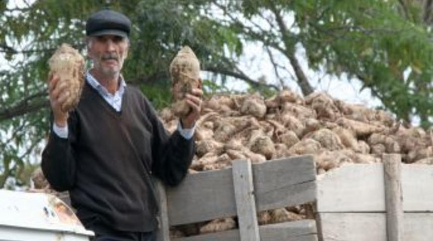 Erzincan Şeker Fabrikası, pancar alımını başlattı