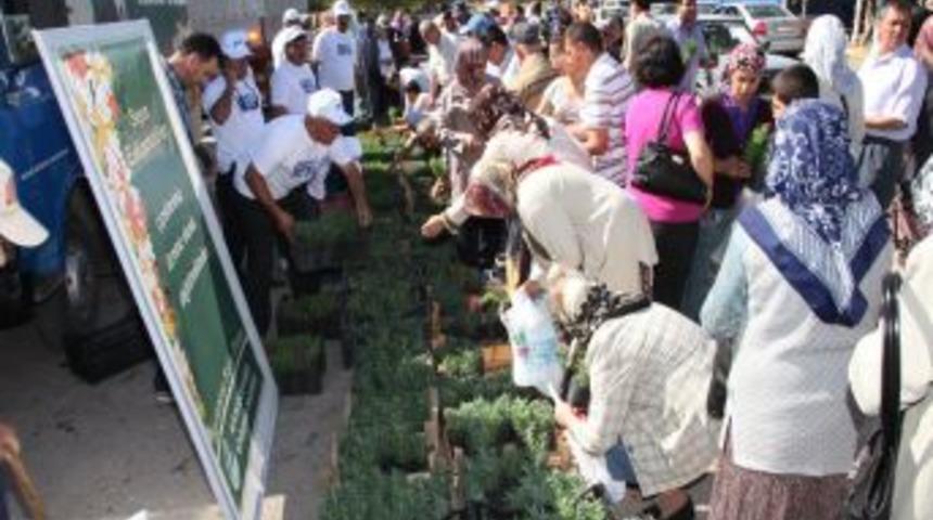 Belediye, kabir ziyaretine gelenlere &ccedil;i&ccedil;ek dağıttı