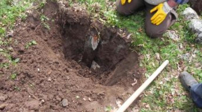 Anne karnındaki 6 aylık bebekleri &ouml;ld&uuml;r&uuml;p, pizza kutularında g&ouml;mm&uuml;şler