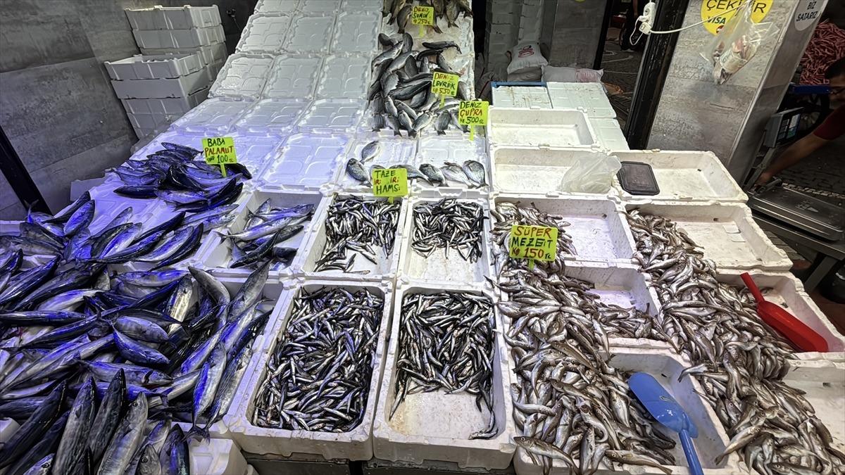  D&uuml;nyada en g&uuml;zel gıda  Fiyatı 50 TL ye kadar d&uuml;şt&uuml; 2
