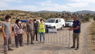 İzmir'de mavi dil hastalığı alarmı: 15 mahalle karantinaya alındı