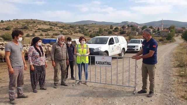 İzmir'de mavi dil hastalığı alarmı: 15 mahalle karantinaya alındı