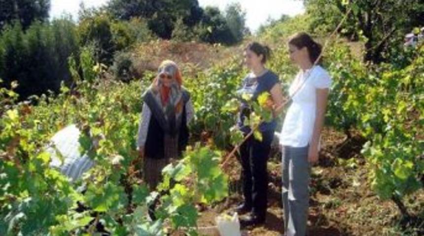 Kocaeli&rsquo;de kentten k&ouml;ye g&ouml;&ccedil;