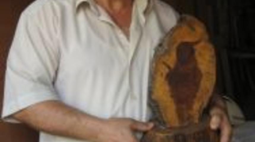 Ceviz ağacından kuş resmi &ccedil;ıktı